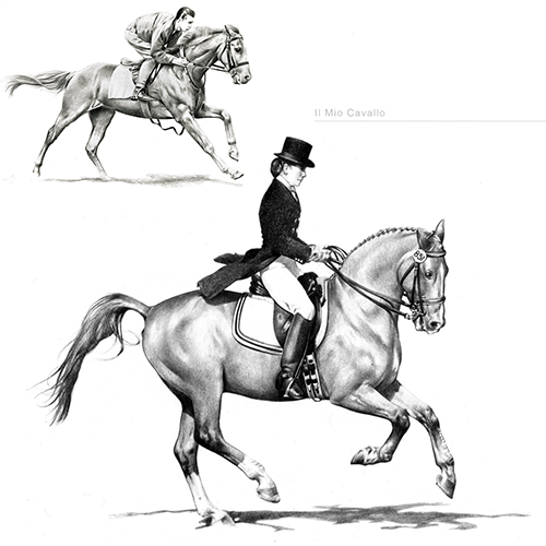 Il Mio Cavallo