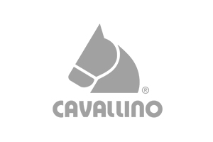 Cavallino
